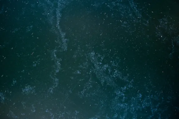 Tournaverse Casino Tacaíocht